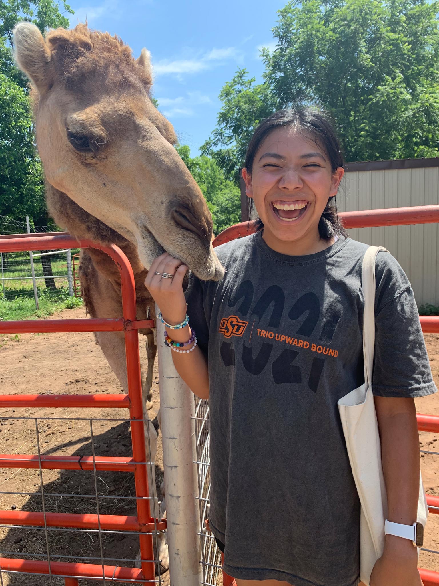 This is alt text for the image